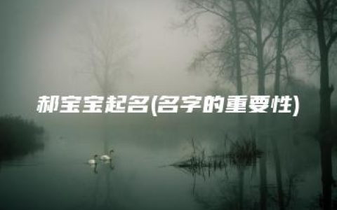 郝宝宝起名(名字的重要性)