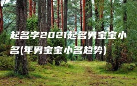 起名字2021起名男宝宝小名(年男宝宝小名趋势)