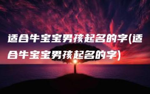 适合牛宝宝男孩起名的字(适合牛宝宝男孩起名的字)