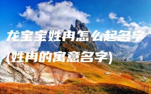 龙宝宝姓冉怎么起名字(姓冉的寓意名字)