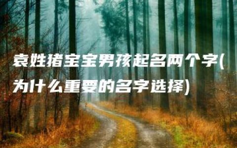 袁姓猪宝宝男孩起名两个字(为什么重要的名字选择)