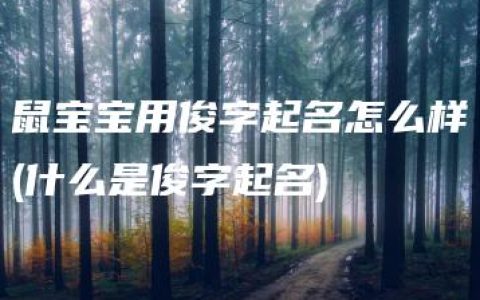 鼠宝宝用俊字起名怎么样(什么是俊字起名)