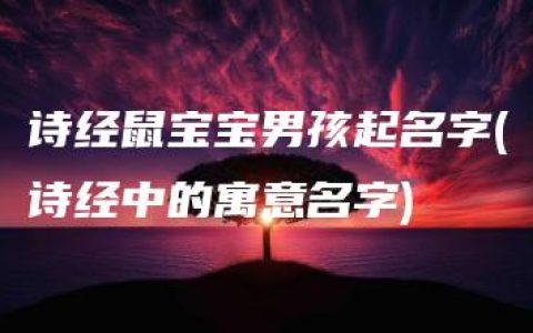 诗经鼠宝宝男孩起名字(诗经中的寓意名字)