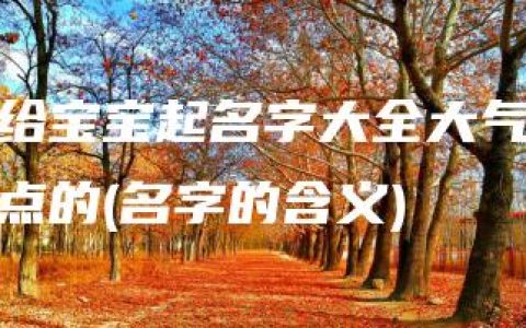 给宝宝起名字大全大气点的(名字的含义)