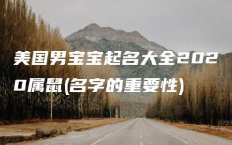 美国男宝宝起名大全2020属鼠(名字的重要性)