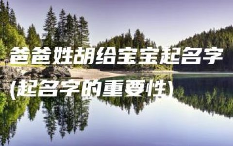 爸爸姓胡给宝宝起名字(起名字的重要性)