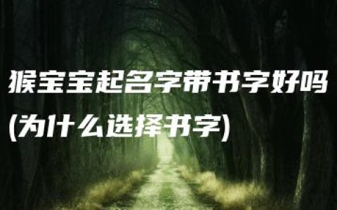 猴宝宝起名字带书字好吗(为什么选择书字)