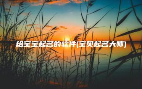 给宝宝起名的软件(宝贝起名大师)