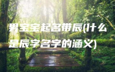 男宝宝起名带辰(什么是辰字名字的涵义)