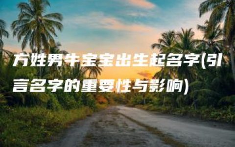 方姓男牛宝宝出生起名字(引言名字的重要性与影响)