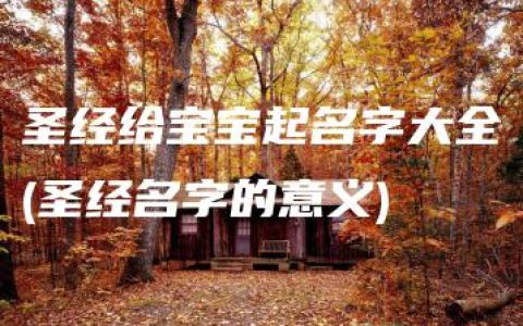 圣经给宝宝起名字大全(圣经名字的意义)