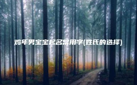 鸡年男宝宝起名常用字(姓氏的选择)