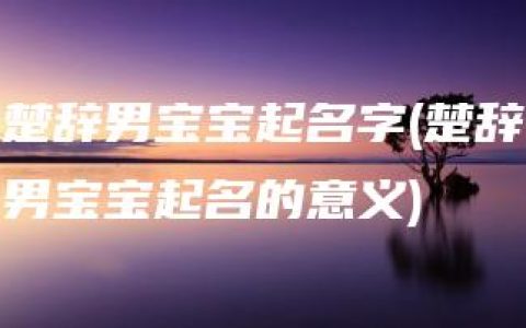 楚辞男宝宝起名字(楚辞男宝宝起名的意义)