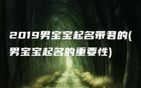 2019男宝宝起名带君的(男宝宝起名的重要性)