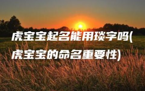 虎宝宝起名能用琰字吗(虎宝宝的命名重要性)