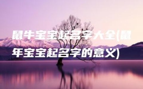 鼠牛宝宝起名字大全(鼠年宝宝起名字的意义)