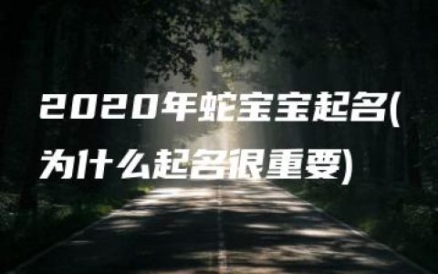 2020年蛇宝宝起名(为什么起名很重要)