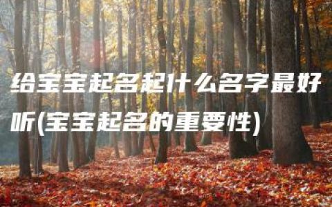 给宝宝起名起什么名字最好听(宝宝起名的重要性)