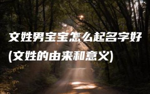 文姓男宝宝怎么起名字好(文姓的由来和意义)