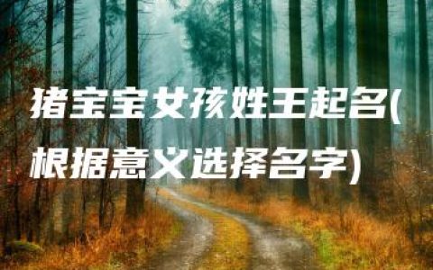 猪宝宝女孩姓王起名(根据意义选择名字)