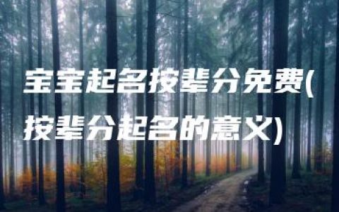 宝宝起名按辈分免费(按辈分起名的意义)