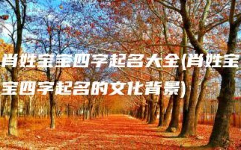 肖姓宝宝四字起名大全(肖姓宝宝四字起名的文化背景)