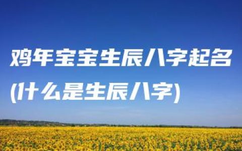 鸡年宝宝生辰八字起名(什么是生辰八字)