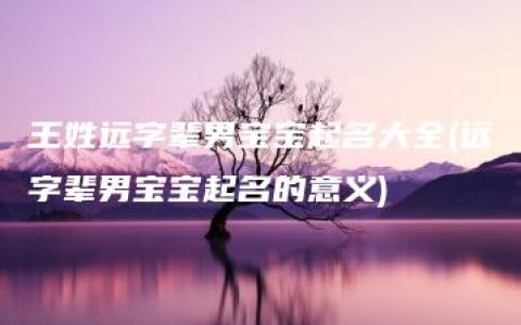 王姓远字辈男宝宝起名大全(远字辈男宝宝起名的意义)