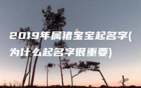 2019年属猪宝宝起名字(为什么起名字很重要)