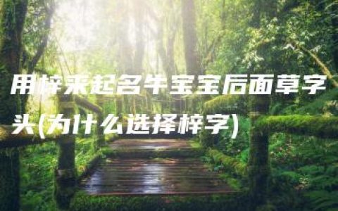 用梓来起名牛宝宝后面草字头(为什么选择梓字)