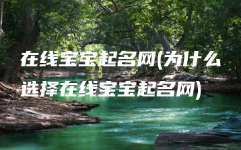 在线宝宝起名网(为什么选择在线宝宝起名网)