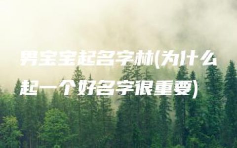 男宝宝起名字林(为什么起一个好名字很重要)