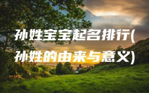 孙姓宝宝起名排行(孙姓的由来与意义)