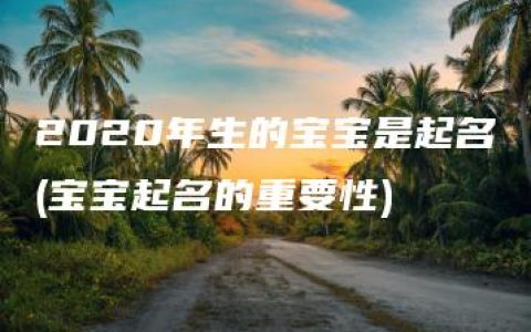 2020年生的宝宝是起名(宝宝起名的重要性)