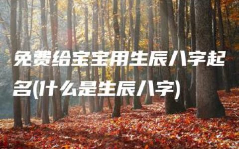 免费给宝宝用生辰八字起名(什么是生辰八字)