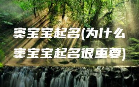 窦宝宝起名(为什么窦宝宝起名很重要)