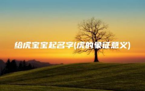 给虎宝宝起名字(虎的象征意义)