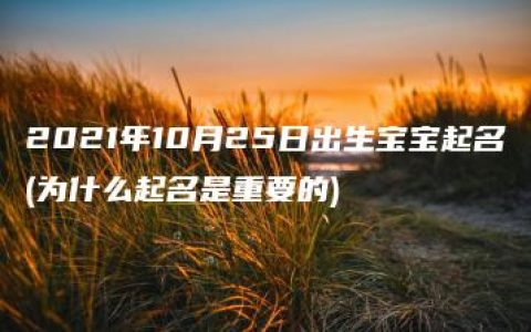 2021年10月25日出生宝宝起名(为什么起名是重要的)