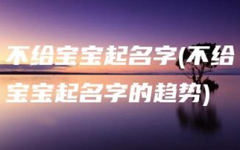 不给宝宝起名字(不给宝宝起名字的趋势)