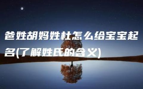 爸姓胡妈姓杜怎么给宝宝起名(了解姓氏的含义)