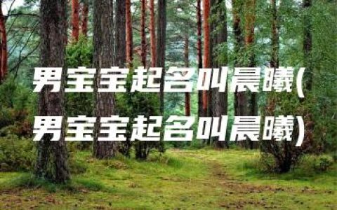 男宝宝起名叫晨曦(男宝宝起名叫晨曦)