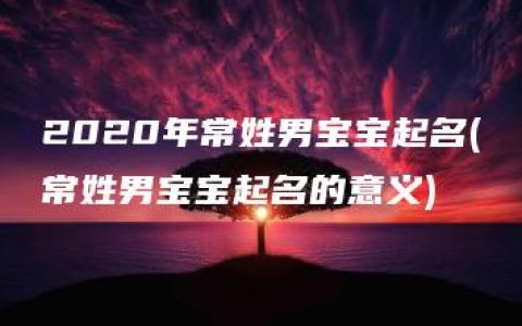 2020年常姓男宝宝起名(常姓男宝宝起名的意义)