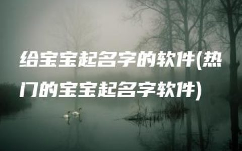 给宝宝起名字的软件(热门的宝宝起名字软件)