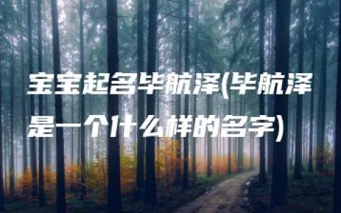 宝宝起名毕航泽(毕航泽是一个什么样的名字)