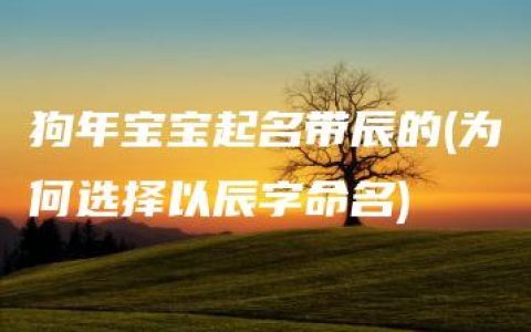 狗年宝宝起名带辰的(为何选择以辰字命名)