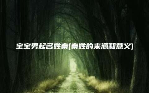 宝宝男起名姓秦(秦姓的来源和意义)