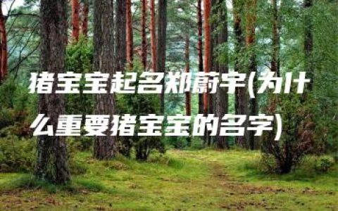 猪宝宝起名郑蔚宇(为什么重要猪宝宝的名字)