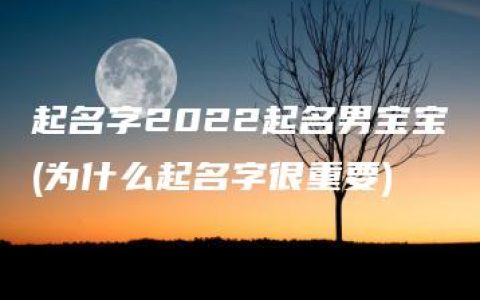 起名字2022起名男宝宝(为什么起名字很重要)