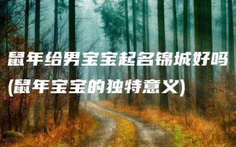 鼠年给男宝宝起名锦城好吗(鼠年宝宝的独特意义)