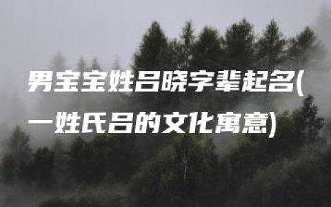 男宝宝姓吕晓字辈起名(一姓氏吕的文化寓意)